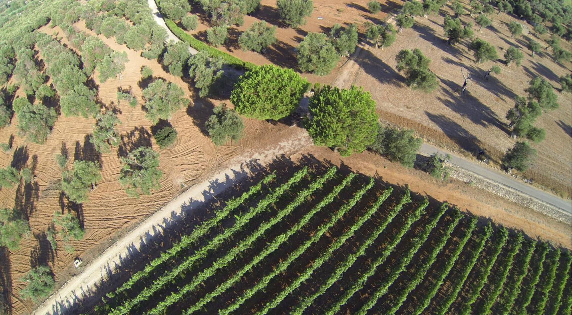Tenuta Doxi Gallipoli Exterior photo